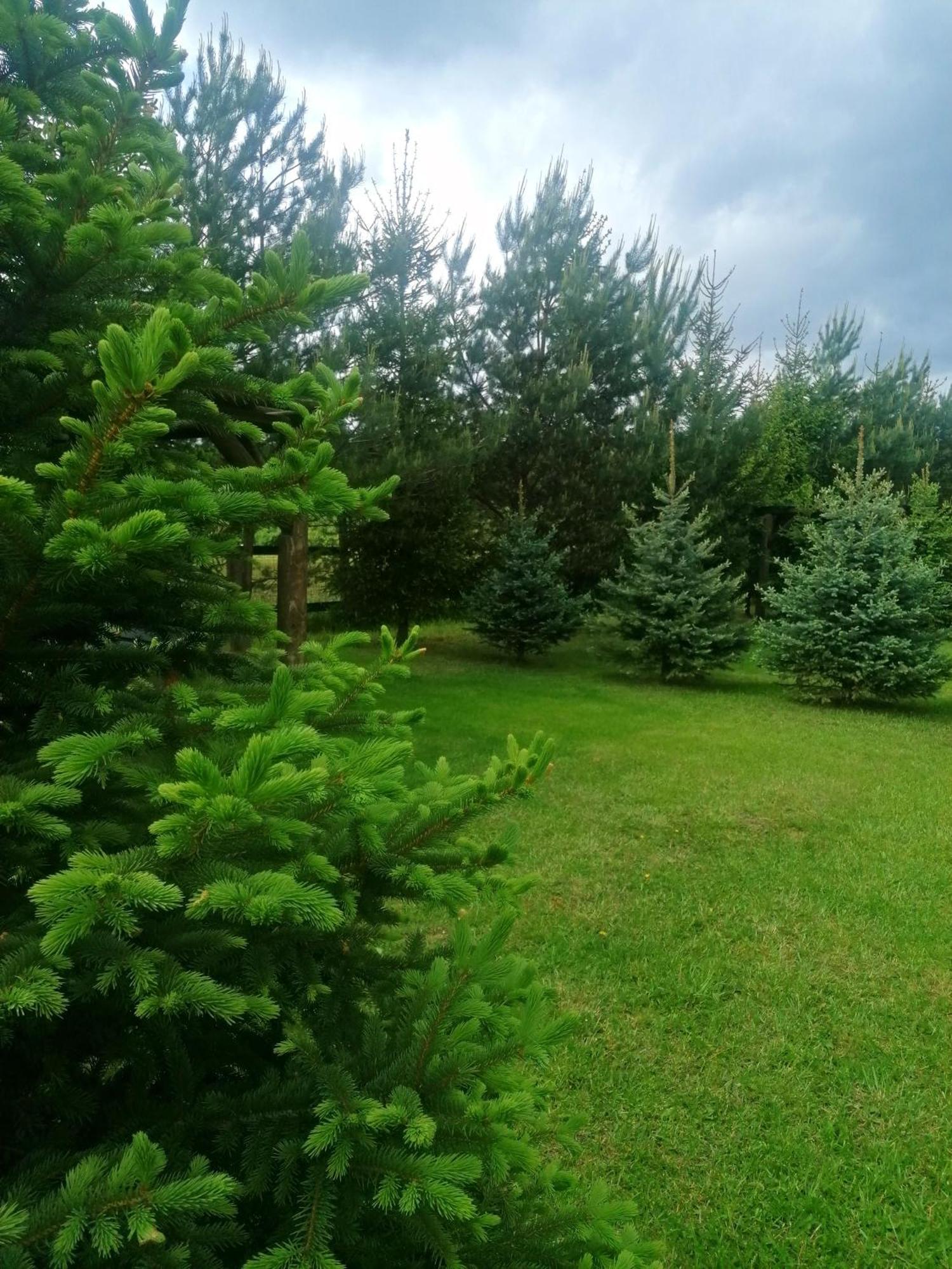 Camp Pacho Prievidza Exterior foto
